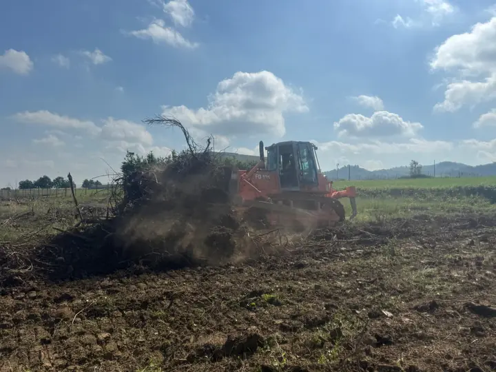 Apripista che sposta ramaglie e residui durante la pulizia del terreno