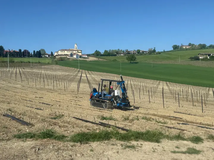 Battipalo cingolato che posa i pali in un nuovo vigneto
