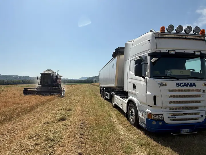 Mietitrebbia e autocarro per il trasporto del raccolto in un campo di cereali