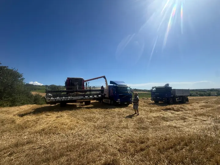 Mietitrebbia che scarica su autocarro in un campo di cereali