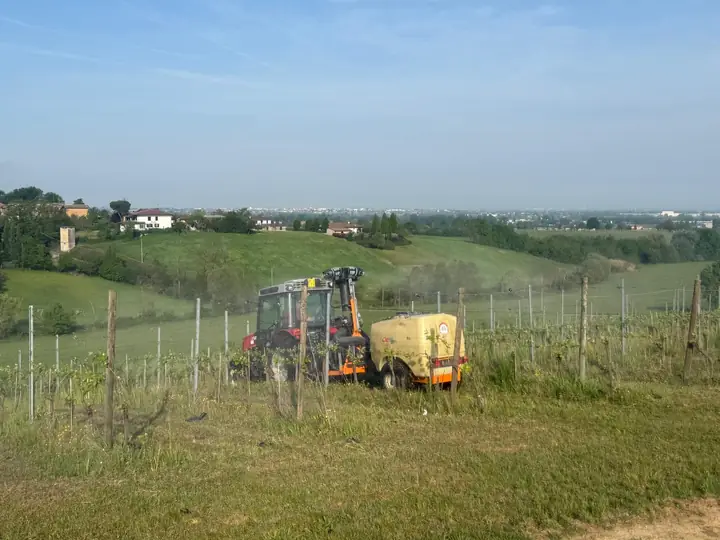 Trattamento in un vigneto collinare con trattore e atomizzatore