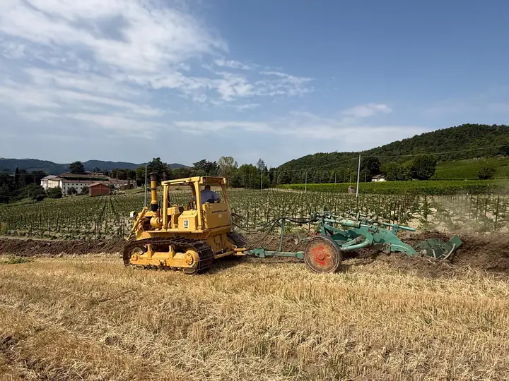 Trattore cingolato con attrezzo per la lavorazione profonda del terreno in un vigneto