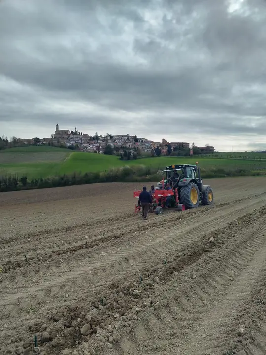 Trattore con attrezzo per l'impianto su terreno preparato, con un borgo collinare sullo sfondo