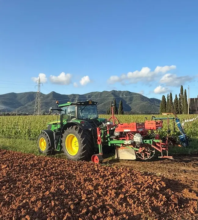 Trattore con macchina per l'impianto delle barbatelle su terreno appena lavorato